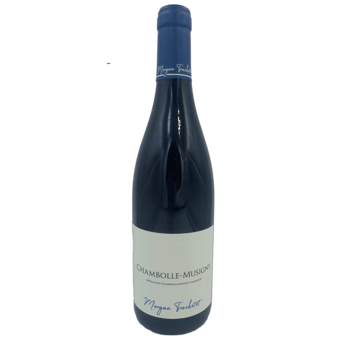 シャンボール ミュジニー | Chambolle Musigny | APOGEE